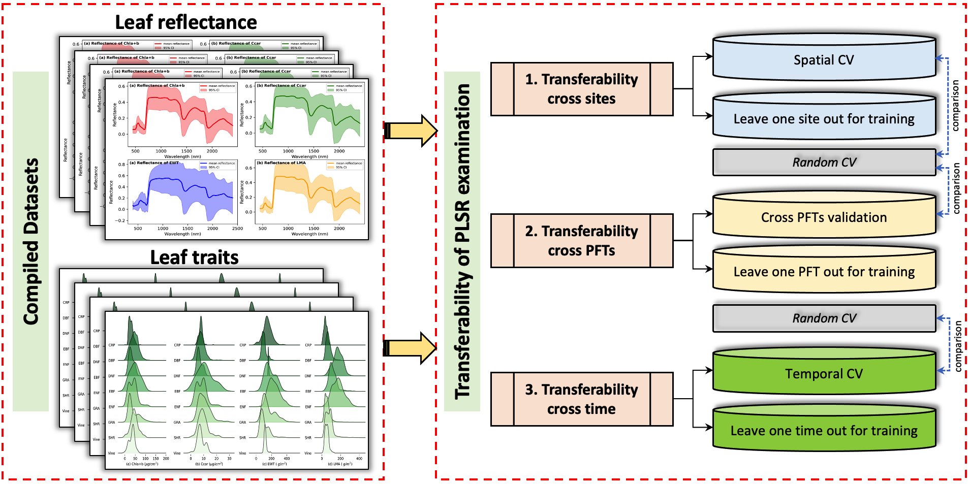 Workflow for validating PLSR models across sites, plant functional types, and time