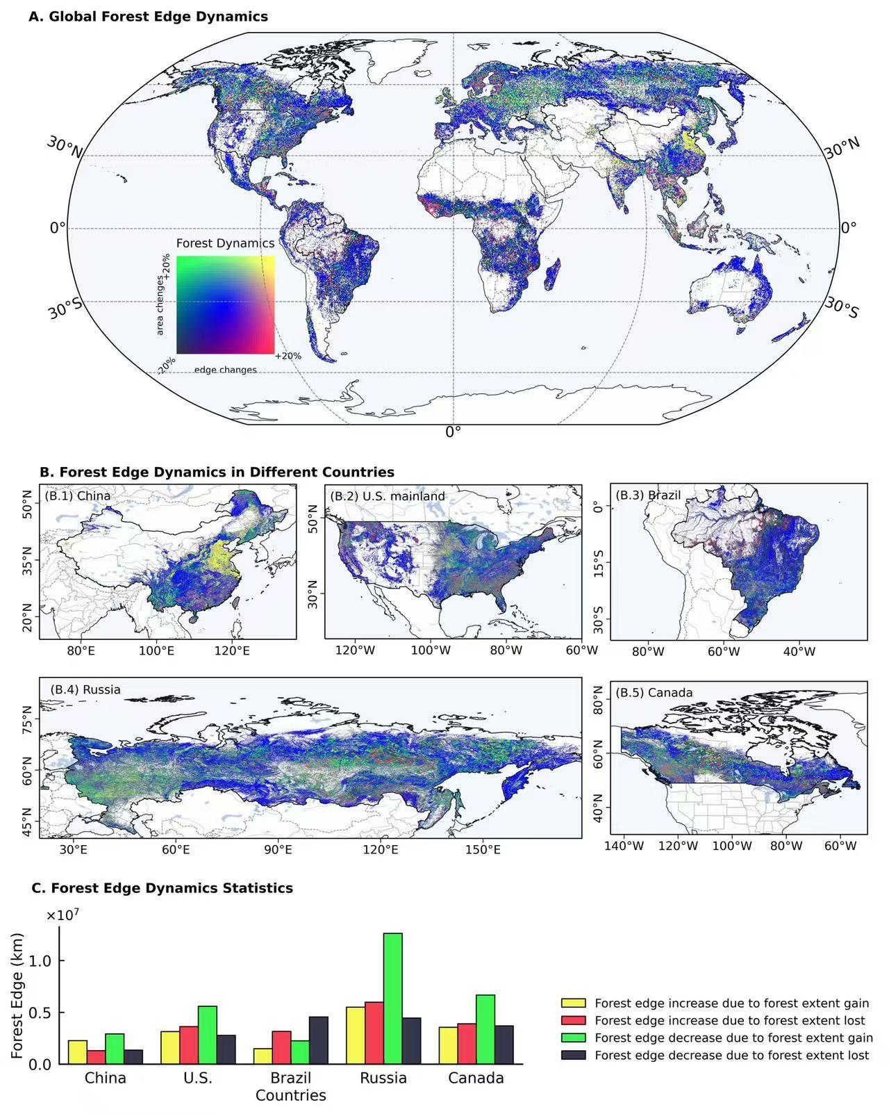 Global Forest Edge Mapping